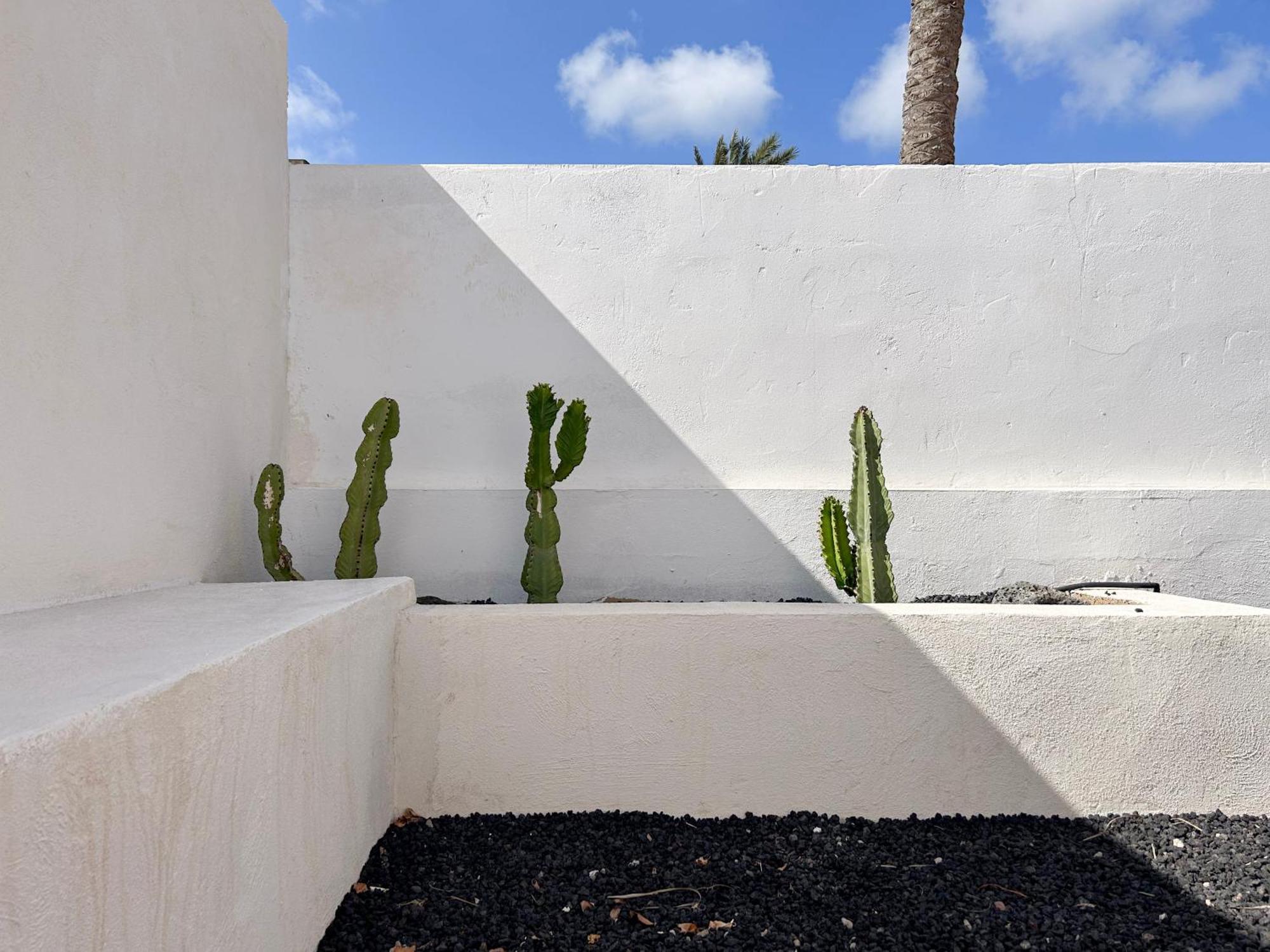 House Boho Palm With Private Heated Pool And Garden, 3 Bedrooms, Wi-Fi Коральео Экстерьер фото